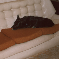 The Original Lazy boy