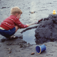 Who put the duck there?