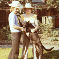 Ride em cowboy and cowgirl