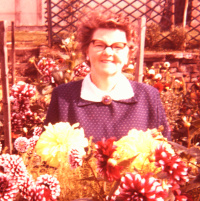 Bill and Nancy's Garden