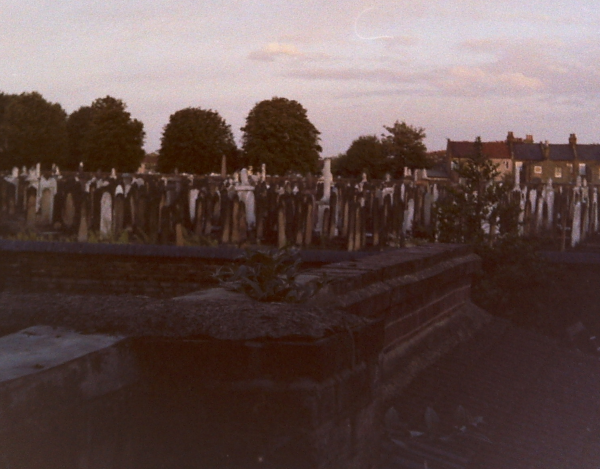 Blenheim Road - view from back window - dead centre of town!