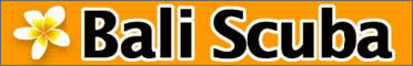 Bali scuba logo