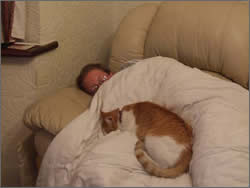 Lauren and Apollo asleep together