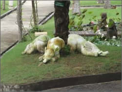 Piggies in the grounds.....