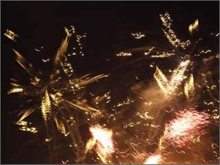 The Fireworks at Epcot!!!