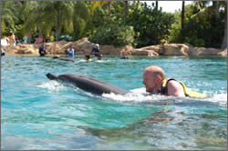 Gordon with dolphin