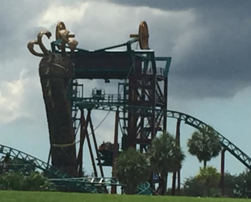 Image of Cobra's Curse from the back