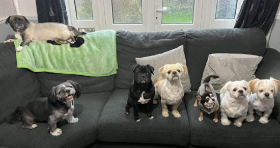 The magnificent seven!!